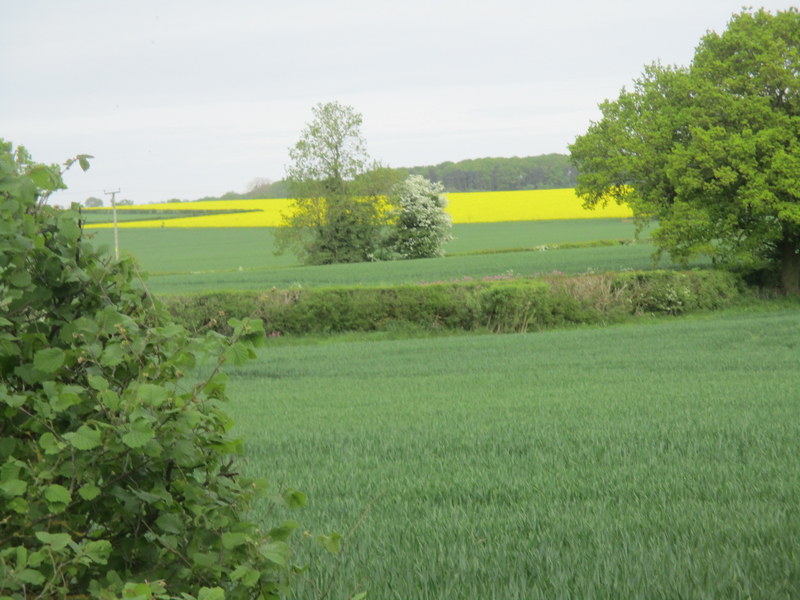 countryside